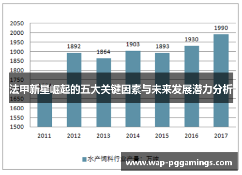 法甲新星崛起的五大关键因素与未来发展潜力分析
