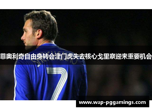 菲奥利奇自由身转会津门虎失去核心戈里察迎来重要机会 菲奥利奇自由身转会津门虎失去核心戈里察迎来重要机会
