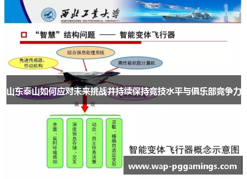 山东泰山如何应对未来挑战并持续保持竞技水平与俱乐部竞争力