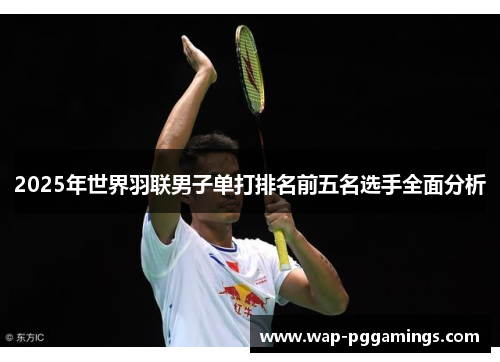 2025年世界羽联男子单打排名前五名选手全面分析