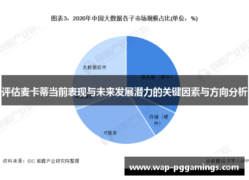 评估麦卡蒂当前表现与未来发展潜力的关键因素与方向分析