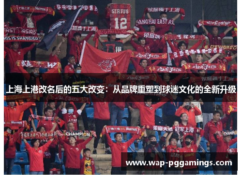 上海上港改名后的五大改变：从品牌重塑到球迷文化的全新升级