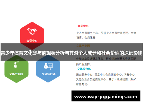 青少年体育文化参与的现状分析与其对个人成长和社会价值的深远影响