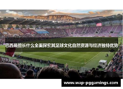 巴西最擅长什么全面探索其足球文化自然资源与经济独特优势