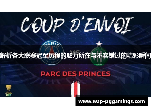 解析各大联赛冠军历程的魅力所在与不容错过的精彩瞬间