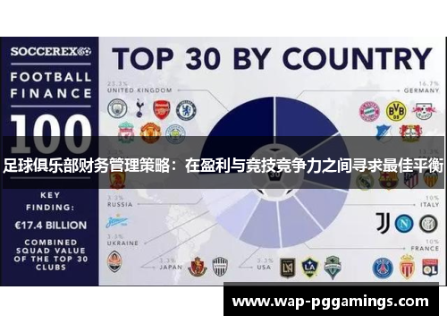 足球俱乐部财务管理策略：在盈利与竞技竞争力之间寻求最佳平衡