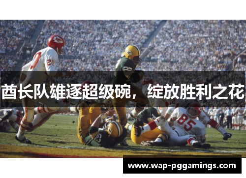 酋长队雄逐超级碗,绽放胜利之花 酋长队雄逐超级碗,绽放胜利之花