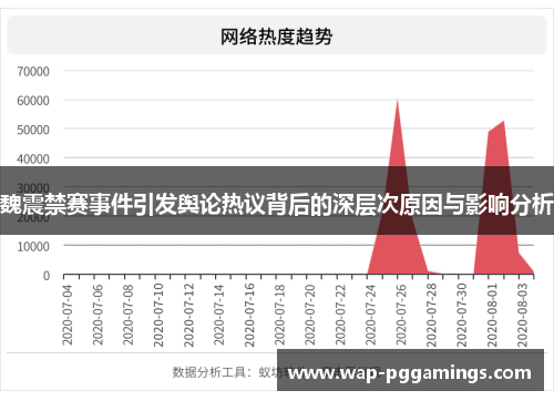 魏震禁赛事件引发舆论热议背后的深层次原因与影响分析